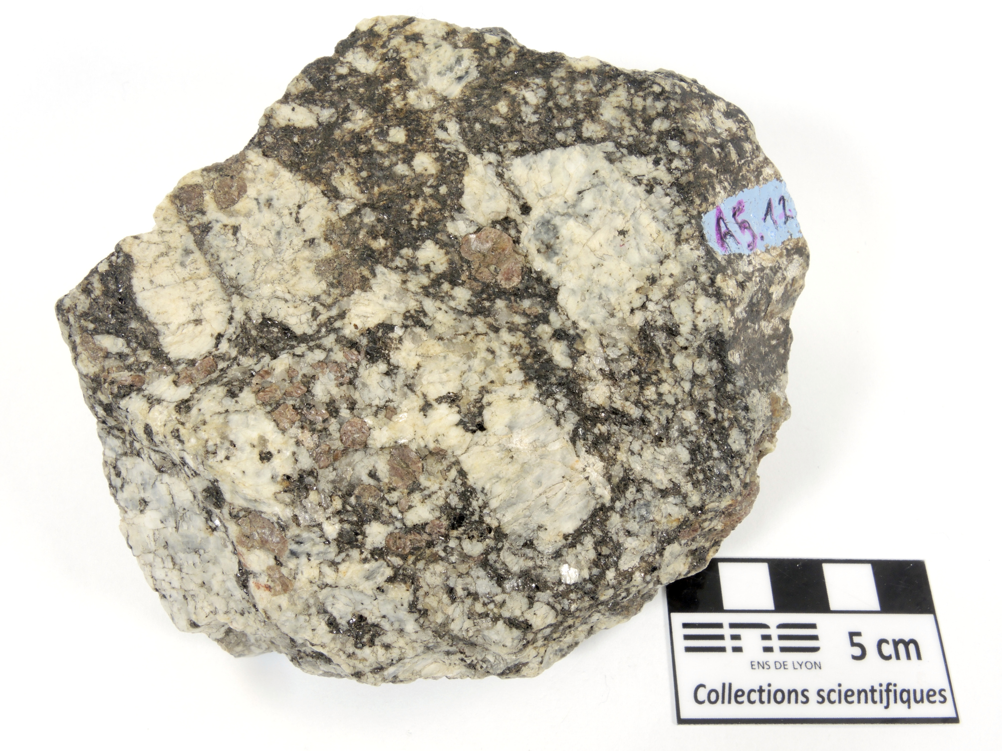 Charnockite à grenat Granite charnockitique d’Ansignan Pyrénées Massif de l’Agly Ansignan Les Albas